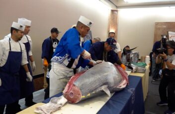 2025年12月14日 放送